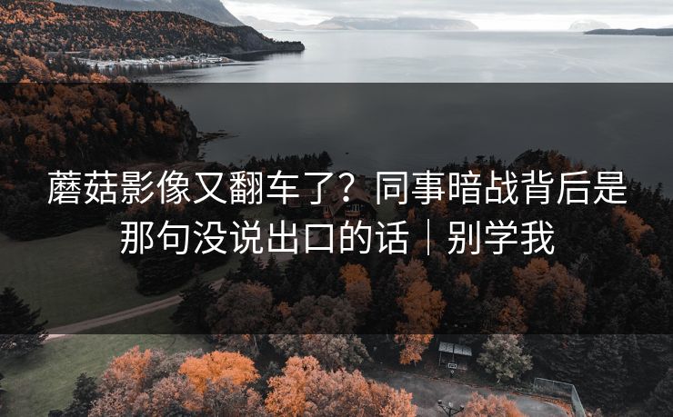 蘑菇影像又翻车了？同事暗战背后是那句没说出口的话｜别学我